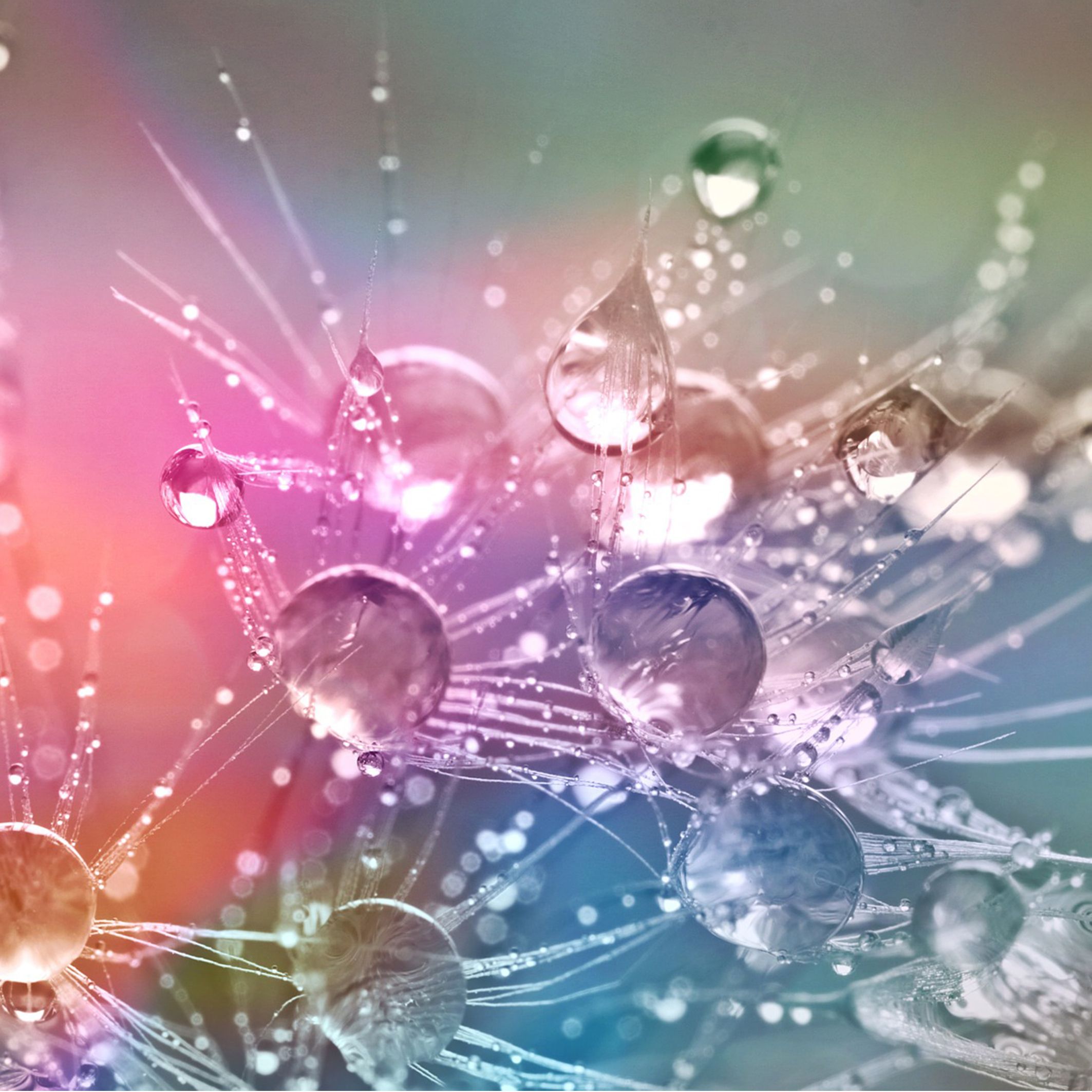 liquid-2